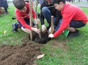 Rooom 4 Planting 008