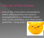A quote from Pope Francis
