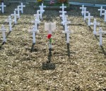 cross display (2)