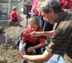 planting the crosses