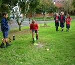 HG4 Science Learning HG4