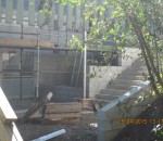 IMG_2481 - Copy