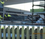 IMG_2486 - Copy