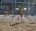 IMG_2498 - Copy