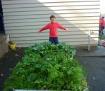 Sean the gardener