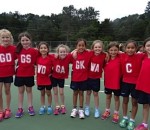 Year 3 Netball Team