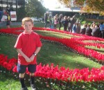 Finlay and red poppies
