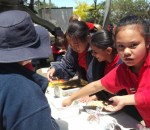 cake stall 1