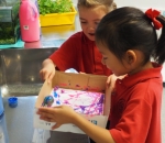 Working together photo