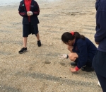 Beach Clean Up